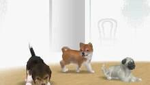 Imagen 6 de Nintendogs