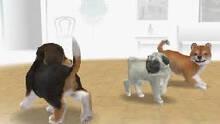 Imagen 5 de Nintendogs