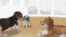 Imagen 4 de Nintendogs