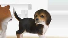 Imagen 3 de Nintendogs