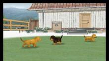 Imagen 20 de Nintendogs