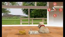 Imagen 25 de Nintendogs