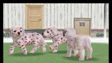 Imagen 35 de Nintendogs