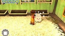 Imagen 17 de Story of Seasons: Trio of Towns