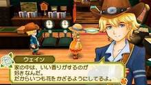 Imagen 25 de Story of Seasons: Trio of Towns