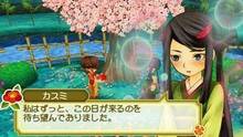 Imagen 34 de Story of Seasons: Trio of Towns