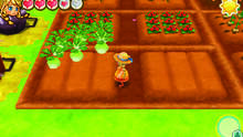 Imagen 102 de Story of Seasons: Trio of Towns