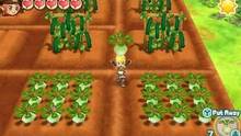 Imagen 146 de Story of Seasons: Trio of Towns