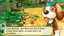 Imagen 149 de Story of Seasons: Trio of Towns