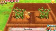 Imagen 80 de Story of Seasons: Trio of Towns