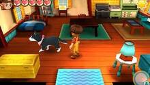 Imagen 82 de Story of Seasons: Trio of Towns