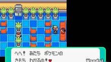 Imagen 12 de Pokémon Esmeralda