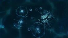 Imagen 3 de Sparkle ZERO