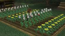 Imagen 17 de Harvest Moon: A Wonderful Life