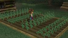 Imagen 22 de Harvest Moon: A Wonderful Life