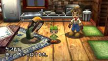 Imagen 23 de Harvest Moon: A Wonderful Life