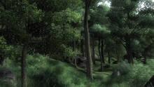 Imagen 18 de The Elder Scrolls IV: Oblivion