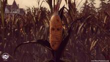 Imagen 16 de Maize