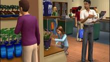 Imagen 2 de Los Sims 2 Abren Negocios