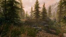 Imagen 8 de The Elder Scrolls V: Skyrim: Special Edition