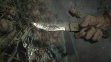 Imagen 90 de Resident Evil 7: Cloud Version