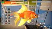 Imagen 2 de Aquarist - My First Job