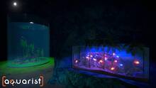 Imagen 28 de Aquarist