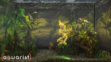 Imagen 29 de Aquarist