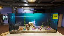 Imagen 34 de Aquarist