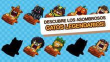 Imagen 6 de Splashy Cats