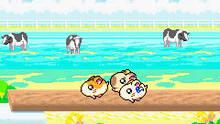 Imagen 11 de Hamtaro: Rainbow Rescue