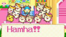 Imagen 3 de Hamtaro: Rainbow Rescue