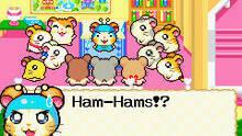 Imagen 4 de Hamtaro: Rainbow Rescue