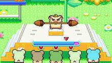 Imagen 6 de Hamtaro: Rainbow Rescue