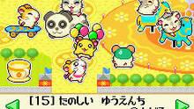 Imagen 7 de Hamtaro: Rainbow Rescue
