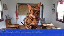 Imagen 8 de Cat President: A More Purrfect Union