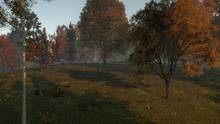 Imagen 36 de Life is Feudal: Forest Village