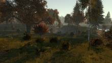 Imagen 37 de Life is Feudal: Forest Village
