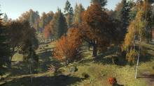Imagen 39 de Life is Feudal: Forest Village