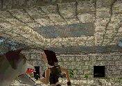 Imagen 172 de Tomb Raider