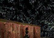 Imagen 178 de Tomb Raider