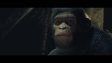Imagen 53 de Planet of the Apes: Last Frontier