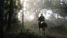 Imagen 402 de Red Dead Redemption 2