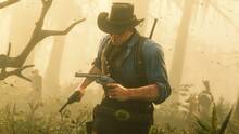 Imagen 429 de Red Dead Redemption 2