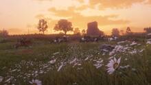 Imagen 397 de Red Dead Redemption 2