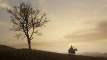 Imagen 214 de Red Dead Redemption 2