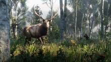 Imagen 262 de Red Dead Redemption 2