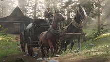 Imagen 477 de Red Dead Redemption 2