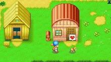 Imagen 6 de Harvest Moon DS