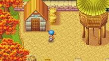 Imagen 14 de Harvest Moon DS